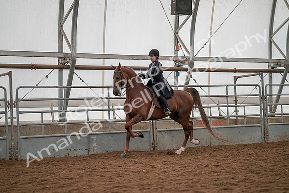 July 19, 2019 - 13149