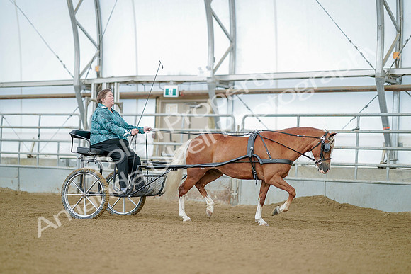 July 21, 2019 - 09301