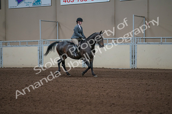 2019 Morgan Horse Show - Sept 01, 2019 - 11044