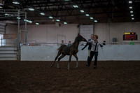 Class 090 - CMHA Youth Challenge Judging