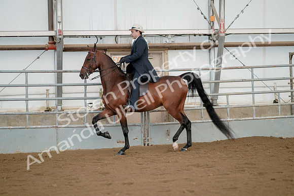 July 21, 2019 - 01677