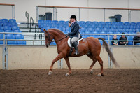 2019 Morgan Horse Show - Aug 30, 2019 - 16003