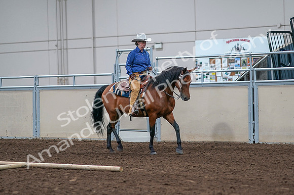 2020 - AB Morgan Horse - Fri, Sept 04 - 00186