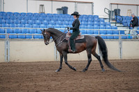 2019 Morgan Horse Show - Sept 01, 2019 - 11203