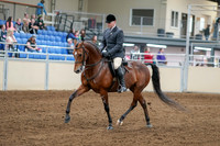 2020 - AB Morgan Horse - Sat, Sept 05 - 06859