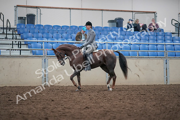 2019 Morgan Horse Show - Aug 31, 2019 - 14746
