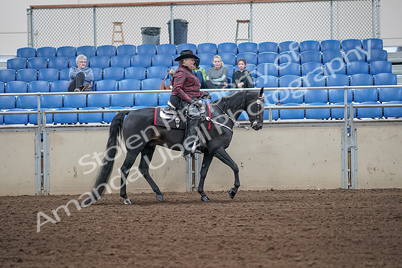 2019 Morgan Horse Show - Aug 31, 2019 - 10764