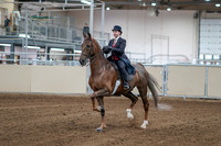 2020 - AB Morgan Horse - Sat, Sept 05 - 06043