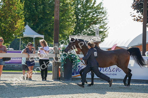 2024 - WCB - July 19 - 03743