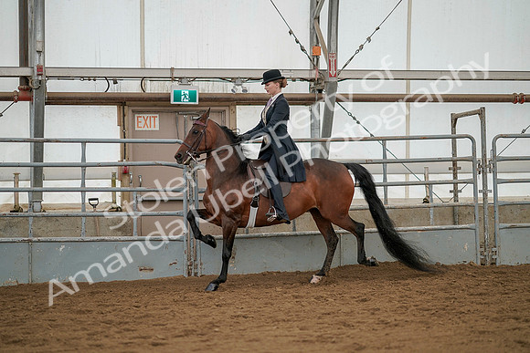 July 20, 2019 - 04271
