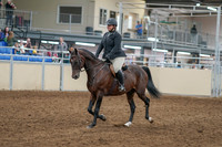 2020 - AB Morgan Horse - Sat, Sept 05 - 09299