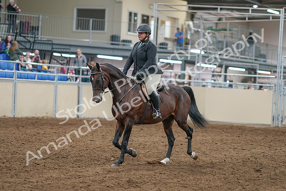 2020 - AB Morgan Horse - Sat, Sept 05 - 09299