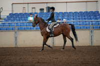 2019 Morgan Horse Show - Aug 31, 2019 - 04830