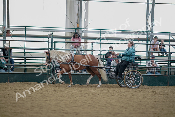 July 21, 2019 - 05981