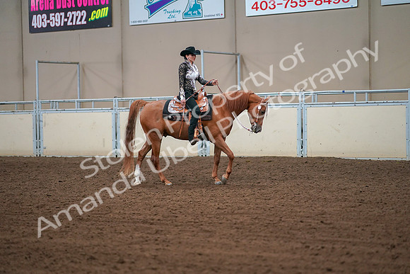 2019 Morgan Horse Show - Aug 30, 2019 - 16912