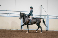 2020 - AB Morgan Horse - Sat, Sept 05 - 09066