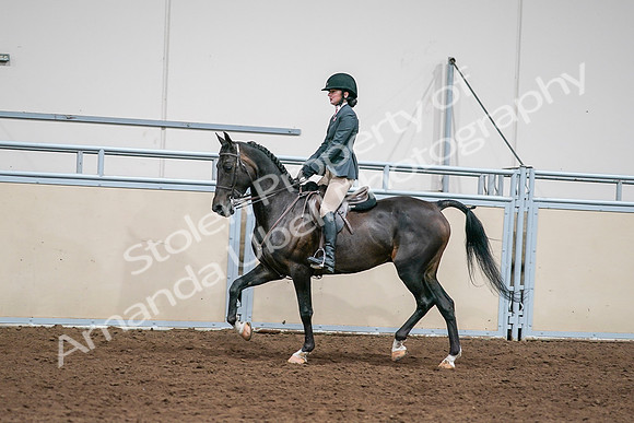 2020 - AB Morgan Horse - Sat, Sept 05 - 09066