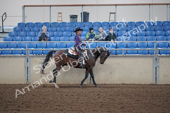 2019 Morgan Horse Show - Aug 31, 2019 - 10695