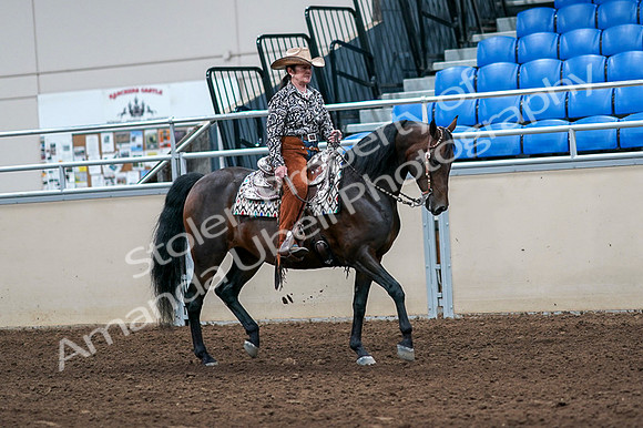 2020 - AB Morgan Horse - Fri, Sept 04 - 00096