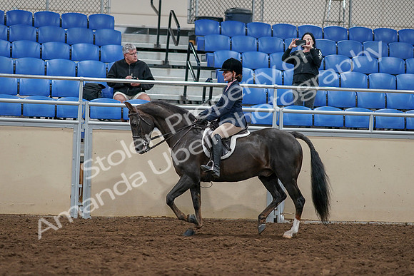2020 - AB Morgan Horse - Sun, Sept 06 - 07751