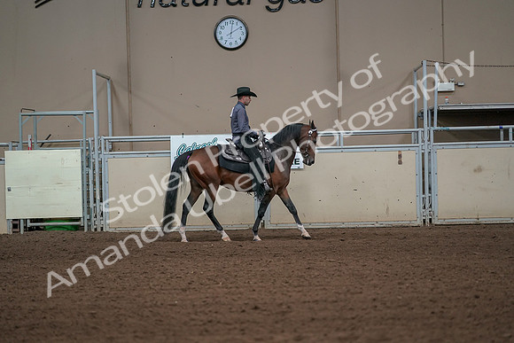 2019 Morgan Horse Show - Aug 31, 2019 - 06181