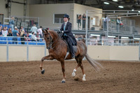 2020 - AB Morgan Horse - Fri, Sept 04 - 11080