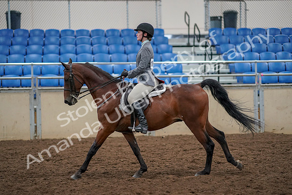 2019 Morgan Horse Show - Aug 30, 2019 - 23466