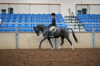 2019 Morgan Horse Show - Aug 30, 2019 - 23117