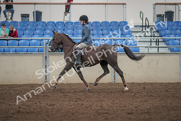 2019 Morgan Horse Show - Aug 31, 2019 - 07303