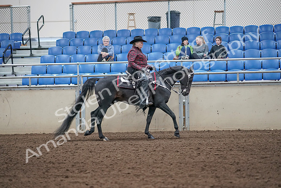 2019 Morgan Horse Show - Aug 31, 2019 - 10671