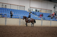 2019 Morgan Horse Show - Aug 30, 2019 - 12660