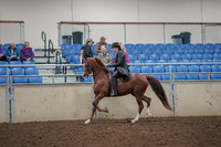 2019 Morgan Horse Show - Aug 30, 2019 - 26495