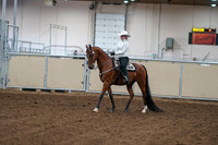 2020 - AB Morgan Horse - Fri, Sept 04 - 03464