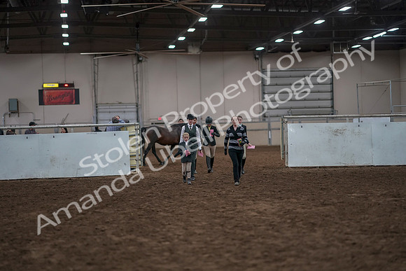 2019 Morgan Horse Show - Aug 31, 2019 - 03912