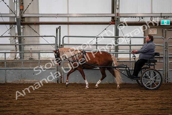 July 19, 2019 - 7086