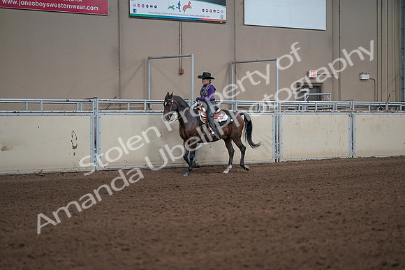 2019 Morgan Horse Show - Aug 31, 2019 - 10576