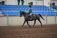 2019 Morgan Horse Show - Sept 01, 2019 - 10888