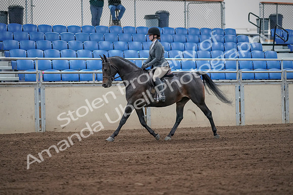 2019 Morgan Horse Show - Sept 01, 2019 - 10888