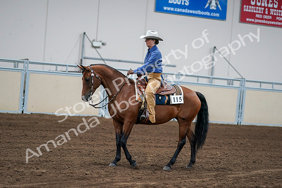 2020 - AB Morgan Horse - Fri, Sept 04 - 00154
