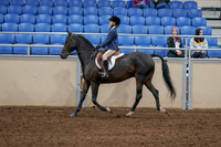 2020 - AB Morgan Horse - Sat, Sept 05 - 10606