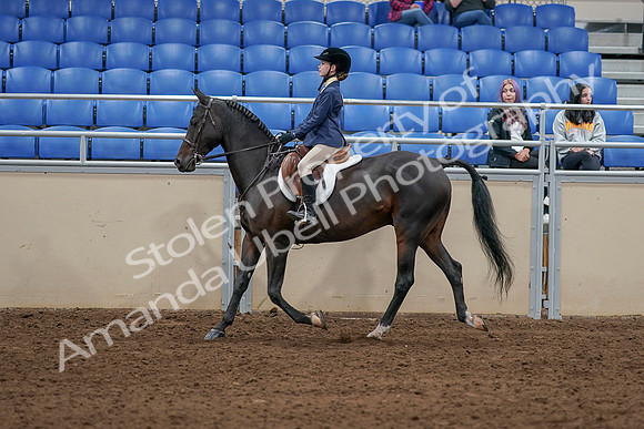 2020 - AB Morgan Horse - Sat, Sept 05 - 10606