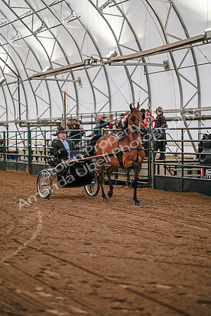 July 19, 2019 - 6907