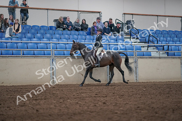 2019 Morgan Horse Show - Aug 31, 2019 - 20418