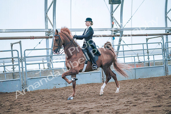 July 20, 2019 - 24110