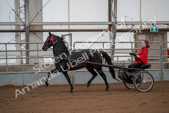 July 20, 2019 - 00324