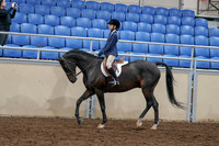 2020 - AB Morgan Horse - Sun, Sept 06 - 07671