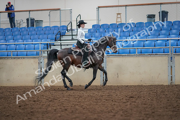 2019 Morgan Horse Show - Aug 30, 2019 - 16953