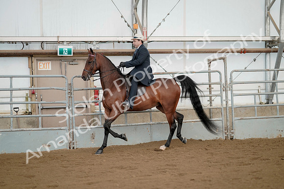 July 21, 2019 - 01668