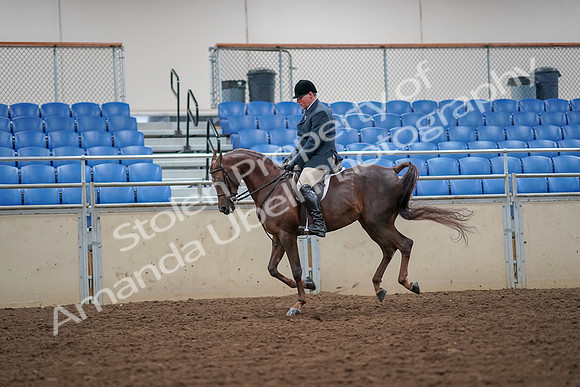 2019 Morgan Horse Show - Aug 30, 2019 - 17428