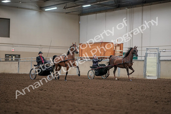 2019 Morgan Horse Show - Aug 30, 2019 - 13386